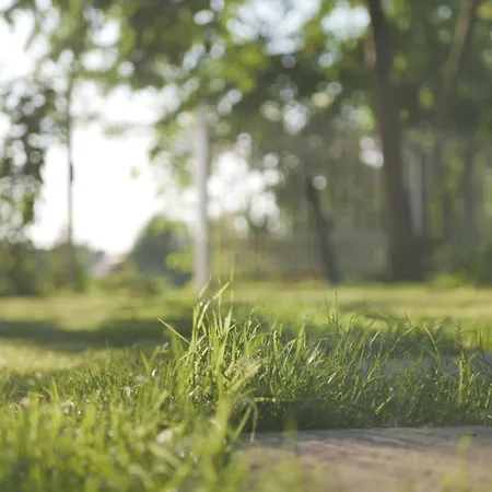 Angyali Hazak Ráckeve